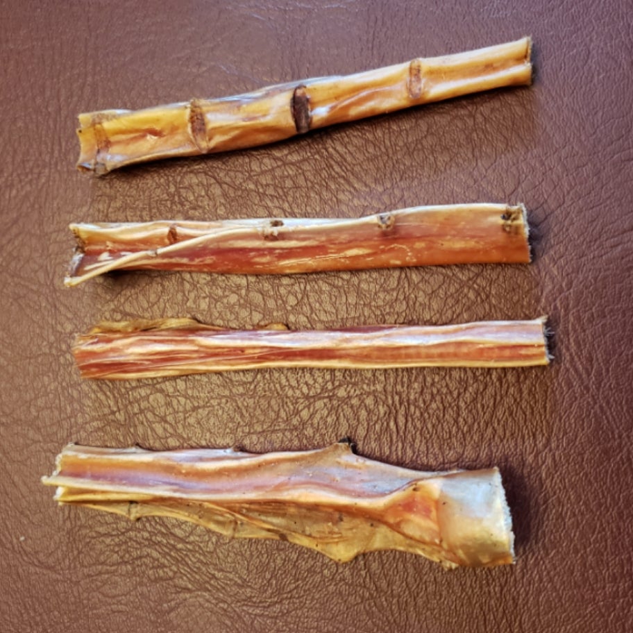 small-steer-stick-1-discount-pet-supply